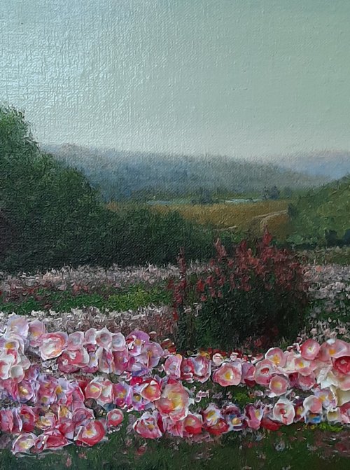 Blooming meadow by Dmitrij Tikhov