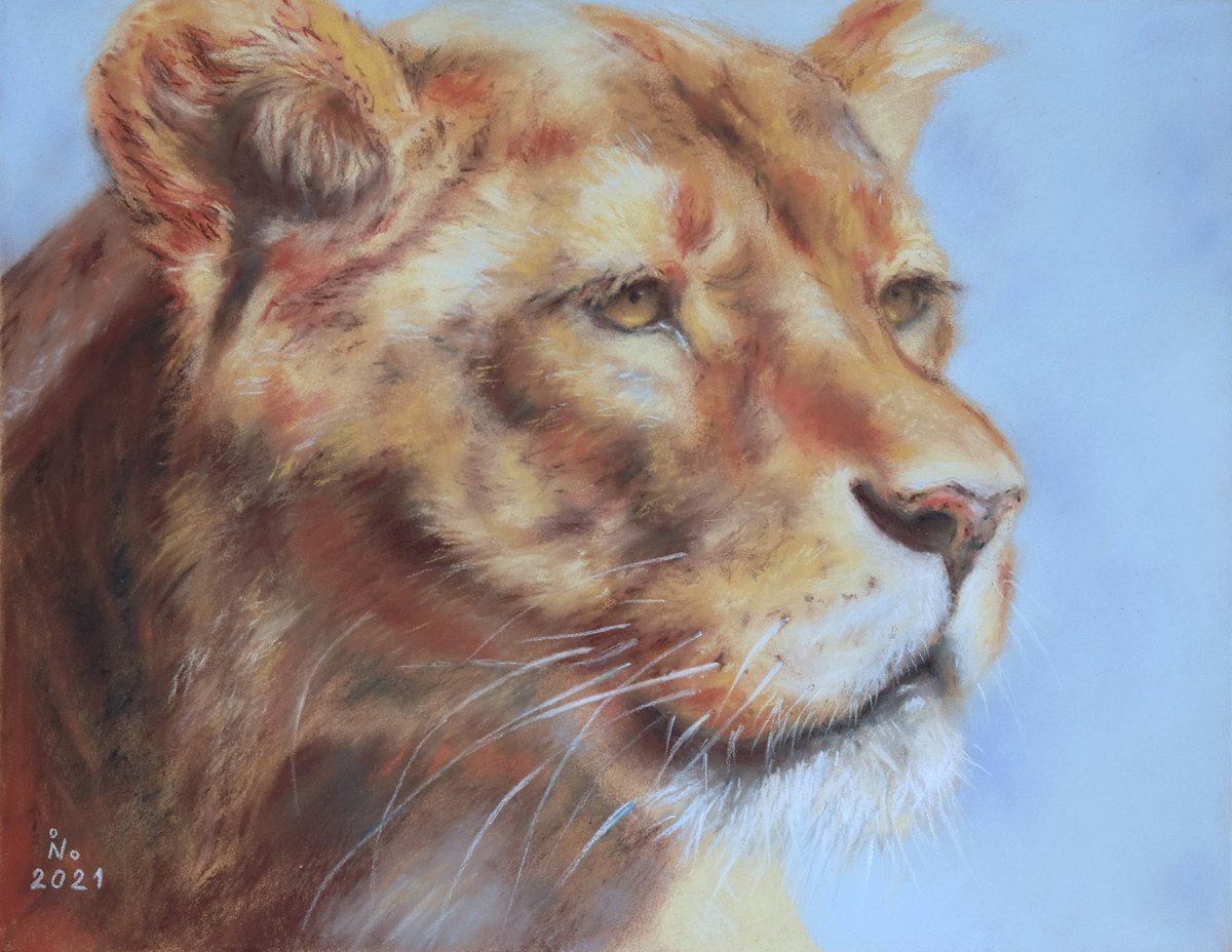 Lioness by Ilona Borodulina