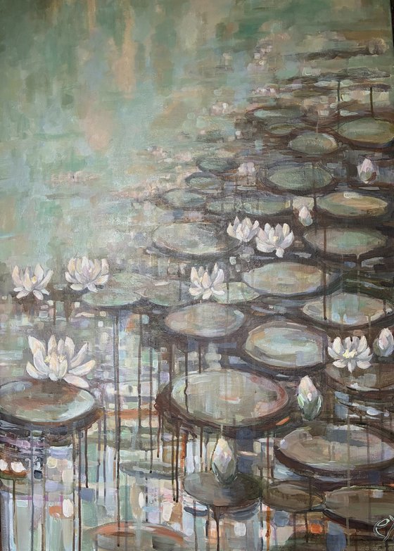 Rain on Lily pond