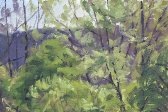 The Wild Loire In Spring