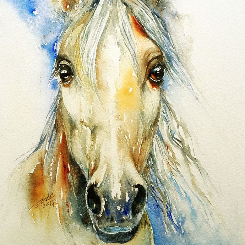 Bonny_White Horse Watercolour by Arti Chauhan | Artfinder