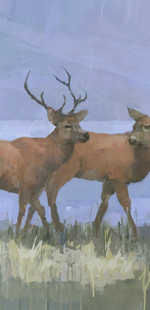 Two Red Deer by Steve Mitchell