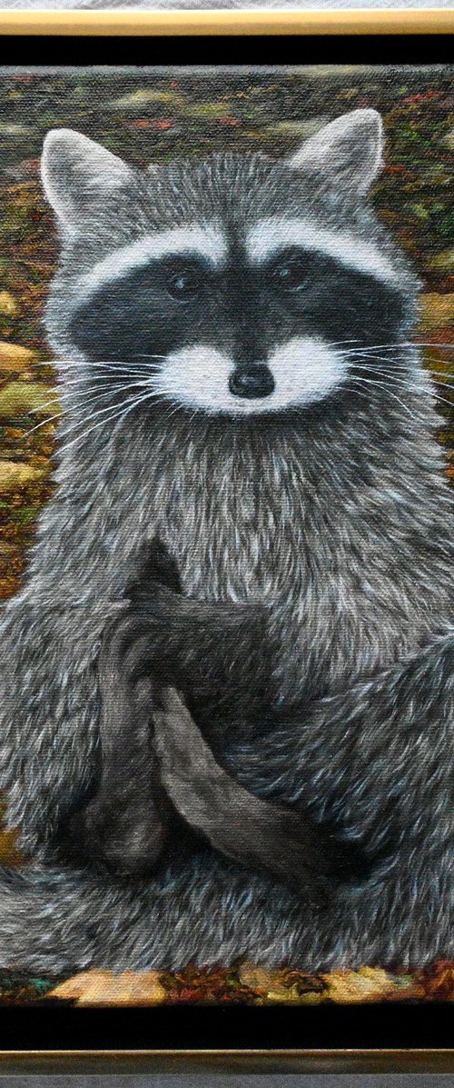 Raccoon by Olya Lane