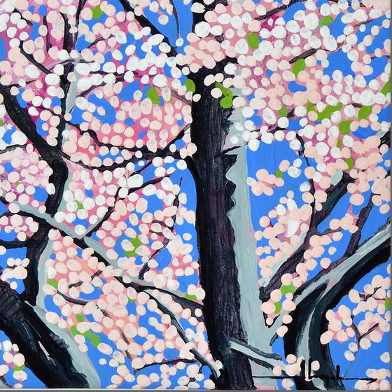 Cherry Blossom #7