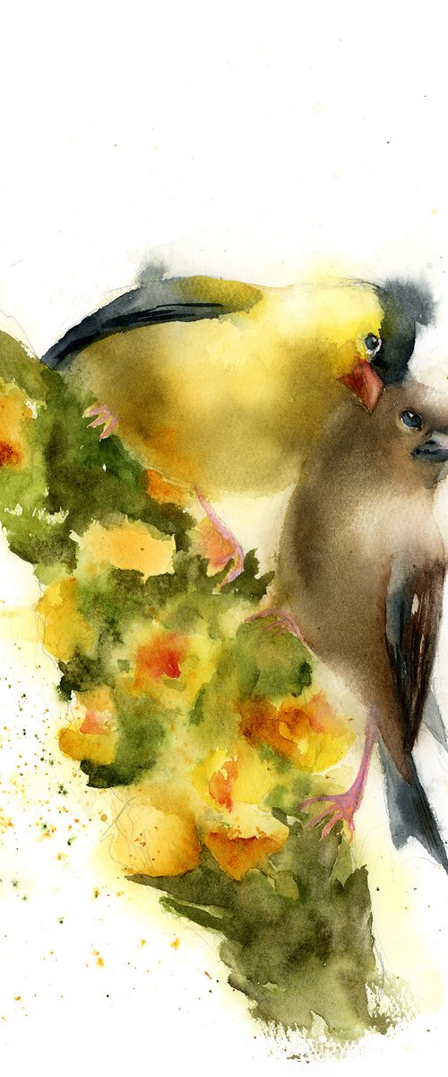 Birds in Love by Olga Tchefranov (Shefranov)