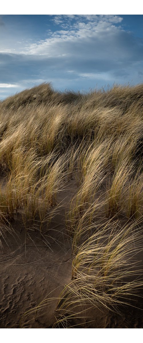 Dunes | Motion | II by David Baker