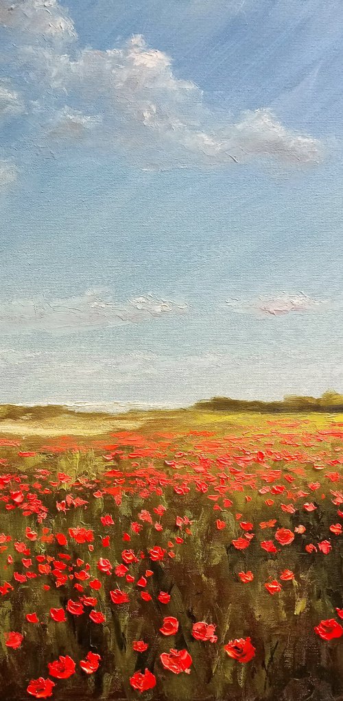 Poppies near the sea by Oleh Rak