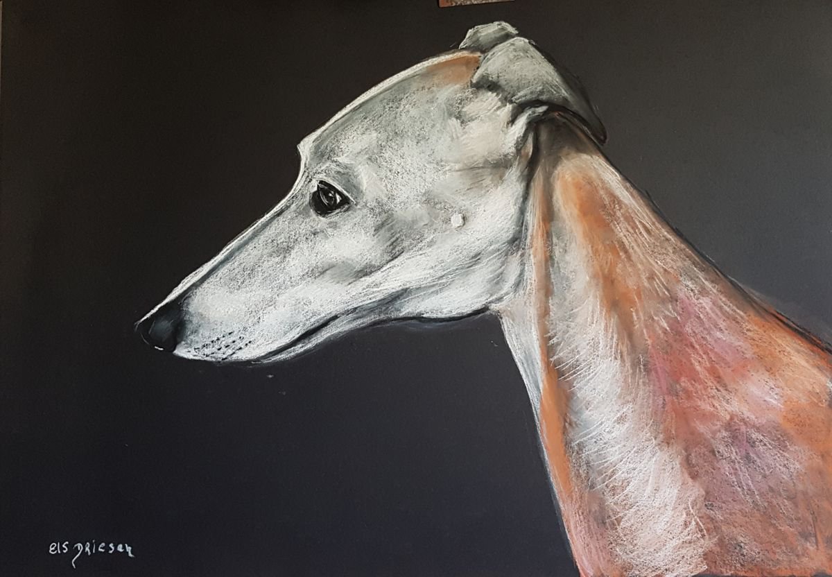 Impressionistic Animal Pastel Drawing By Els Driesen, 28 X 20, Greyhound, Original Artwork
