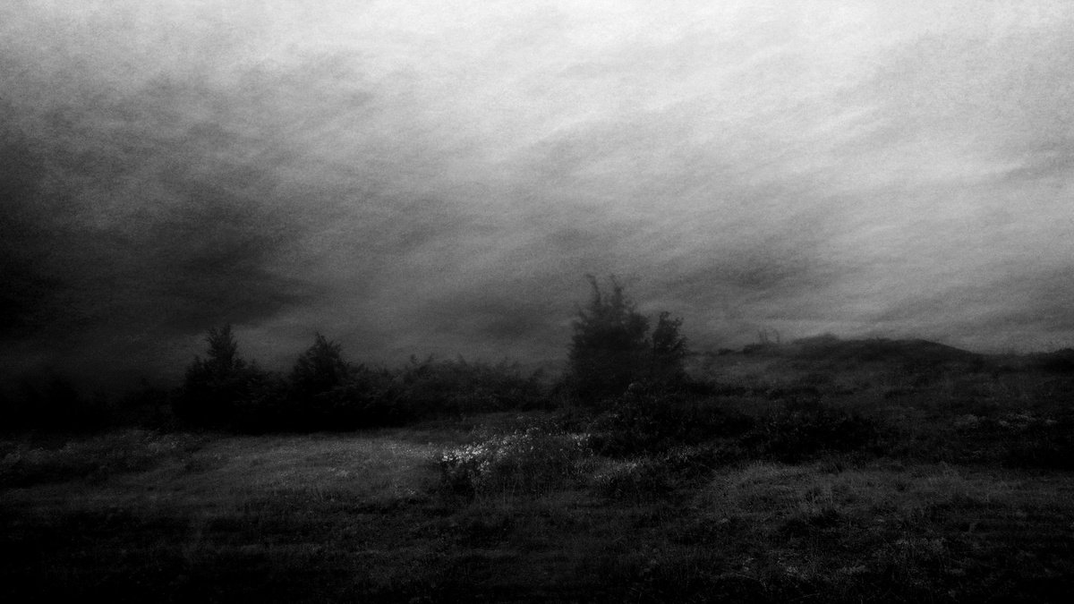 Impressionistic Landscape Photograph By Philippe Berthier, 30 X 17", Une Source De Lumiere......., Original Artwork