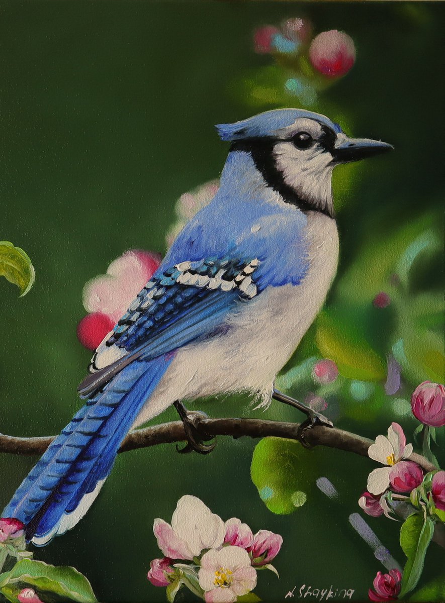 Impressionistic Animal Oil Painting By Natalia Shaykina, 12 X 16", Blue Bird And Flowers, Original Artwork
