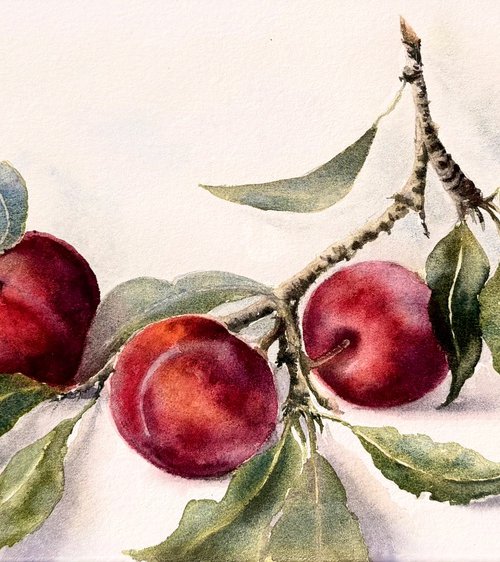 Branch of Red Plums by Natalia Butenko