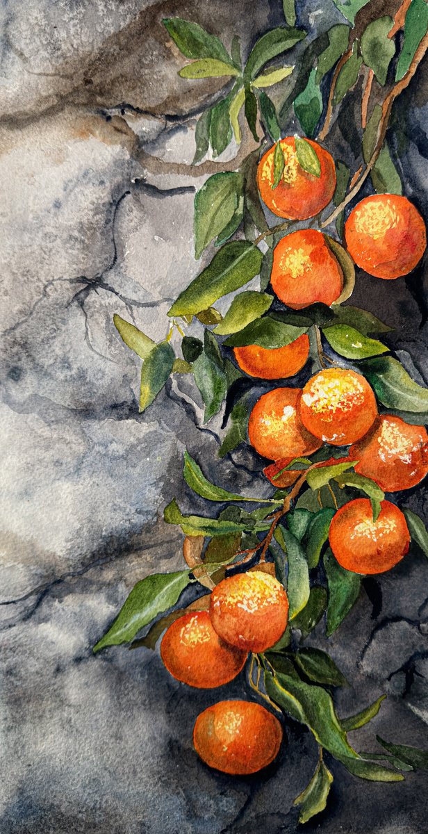 Photorealistic Watercolour , Whispers Through The Wall - Oranges By Irina Kurganskaya, 8 X 16, Artwork For Sale On Artfinder