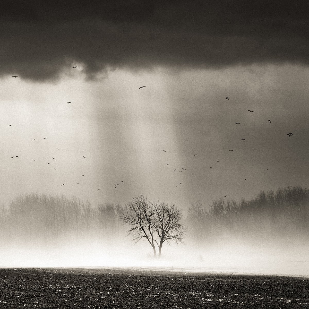 Dust storm by Peter Zelei