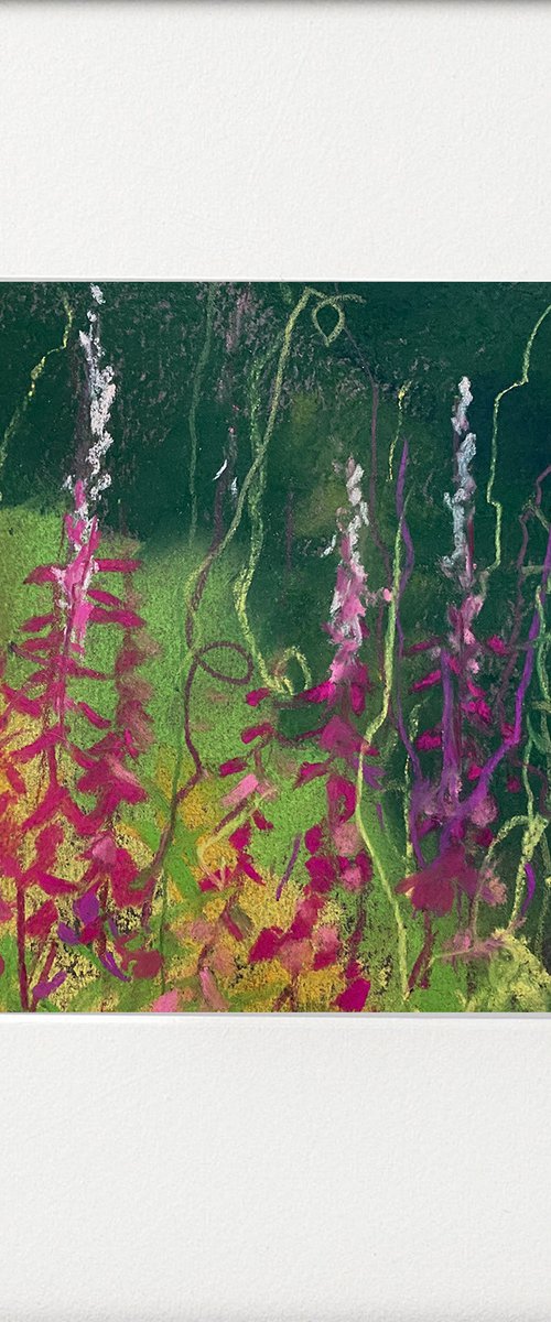 Seasons - Late Summer Rosebay Willowherb Sketch by Teresa Tanner