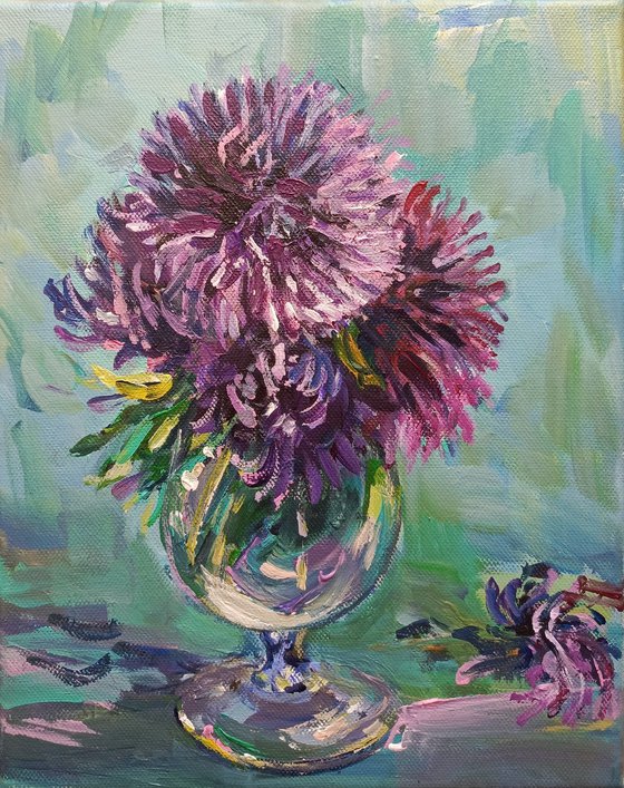 Aster flowers in a glass