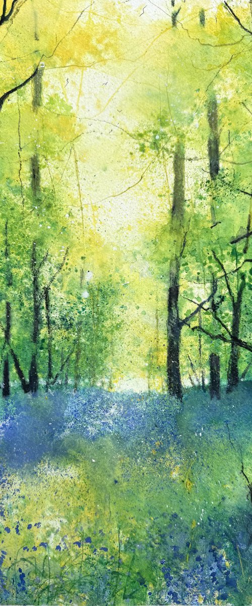 Woodland with Bluebells by Teresa Tanner