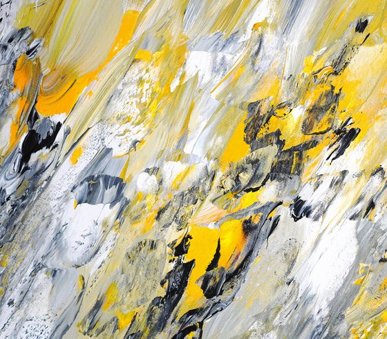 Elegance Anthracite M  1