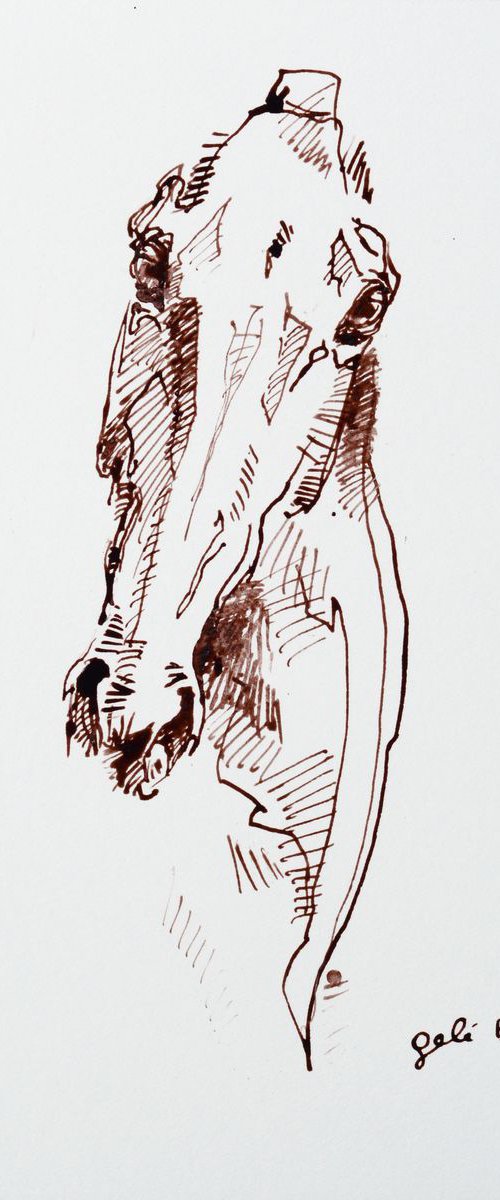 Equine Nude 184 by Benedicte Gele