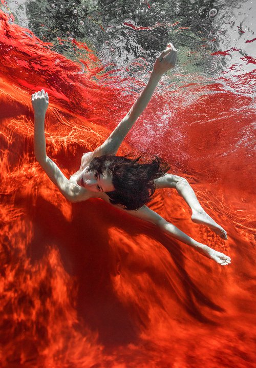 Wild Blood - underwater photograph - print on paper by Alex Sher
