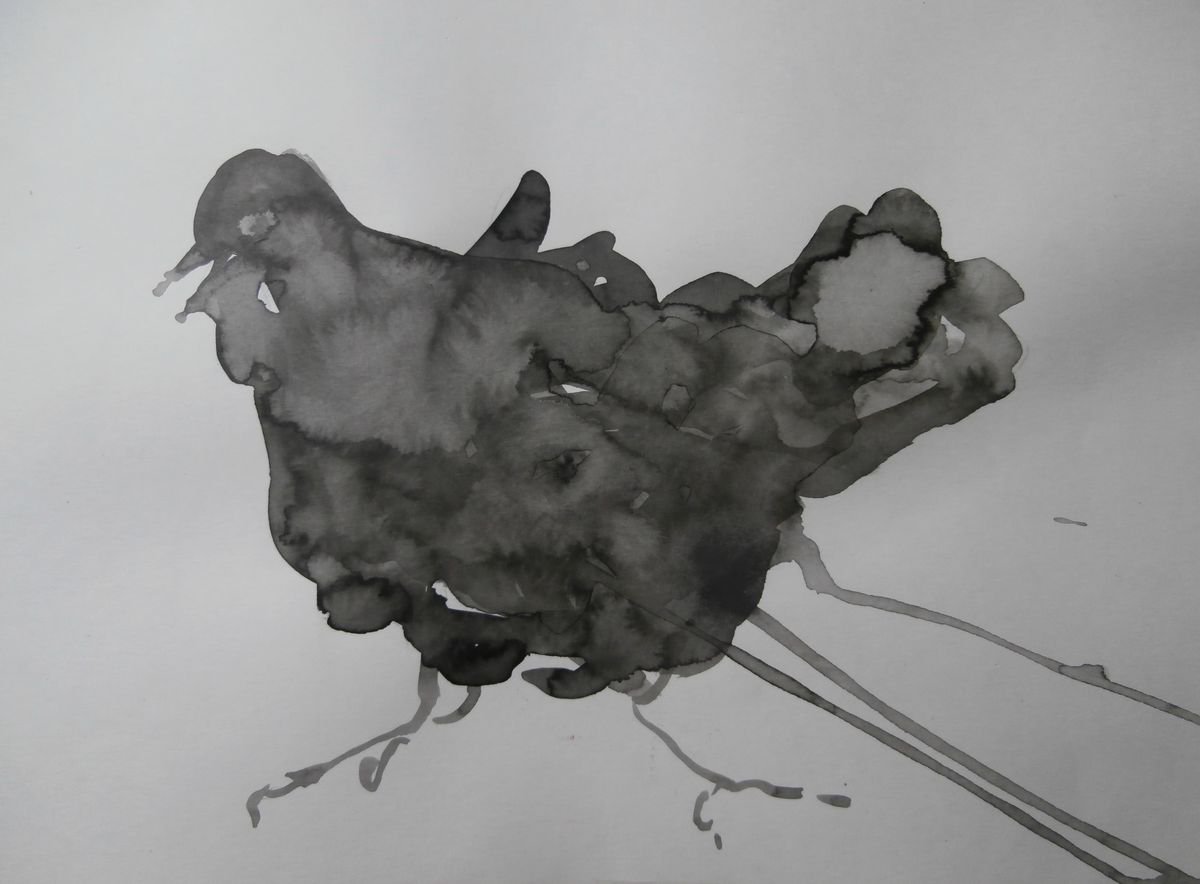 Illustrative Ink Drawing , Crazy Chcken By Zoran Mihajlovic Muza, 12 X 9, Artwork For Sale On Artfinder