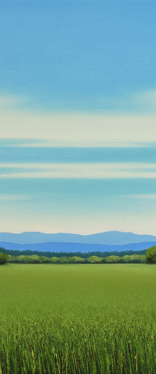 Green Meadow - Blue Sky by Suzanne Vaughan