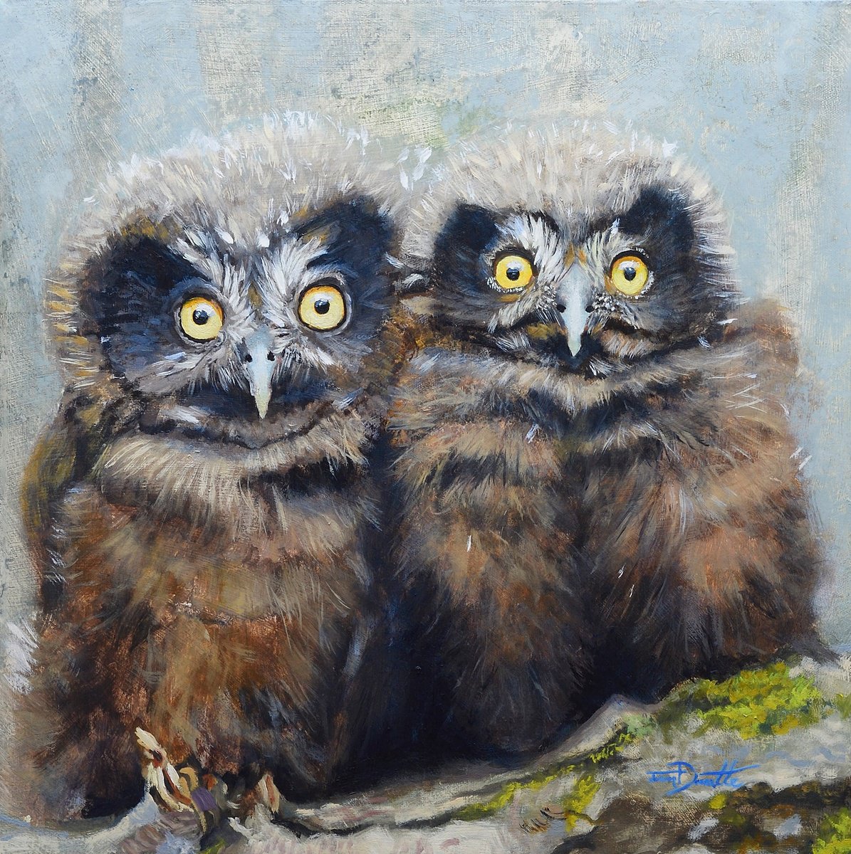 Photorealistic Animal Oil Painting By Jason Edward Doucette, 18 X 18, Misty Owls, Original Artwork
