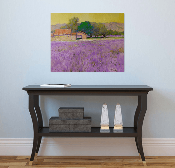 Lavender Field