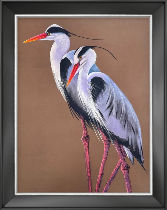 Heron Wader Ardea Hern Stroks