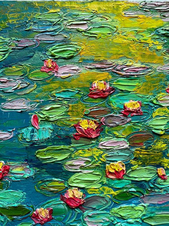 Evening glow on water lilies