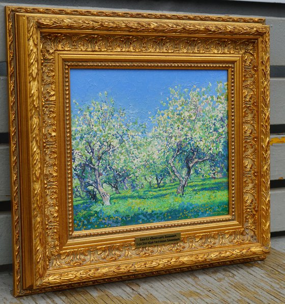 Apple tree in bloom. Kolomenskoye