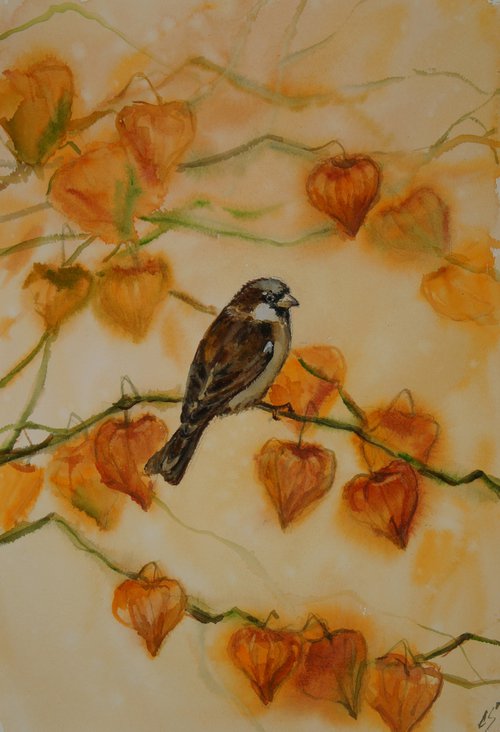 Sparrow by Elena Sanina