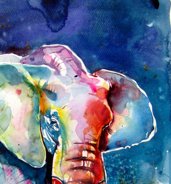 Walking elephant at night