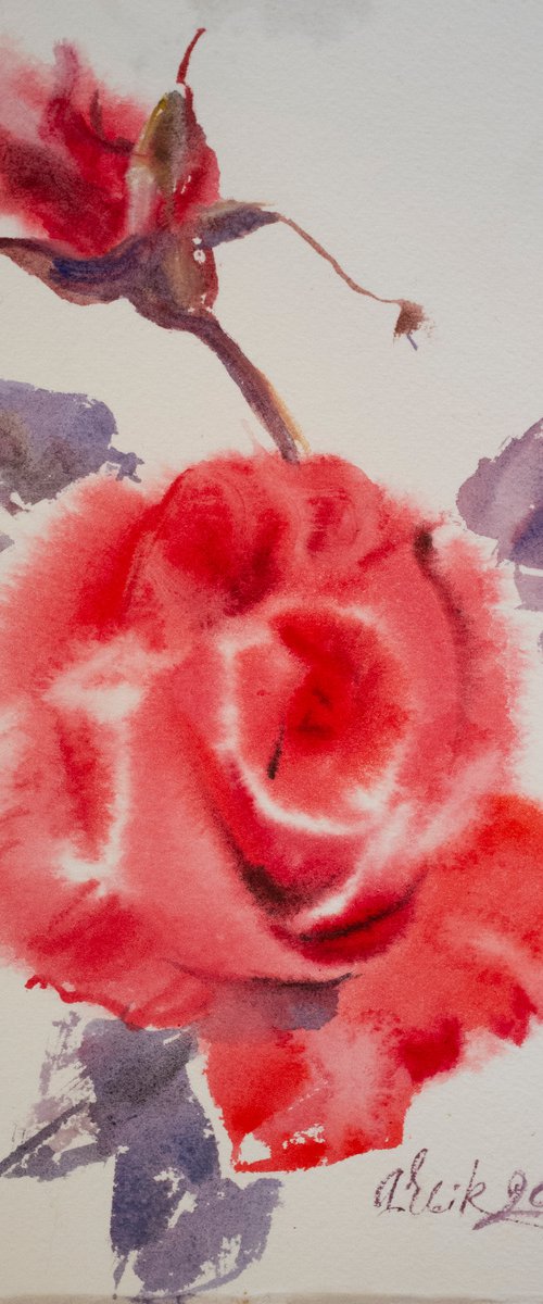 Red rose painting. Passion flower. by Irina Bibik-Chkolian