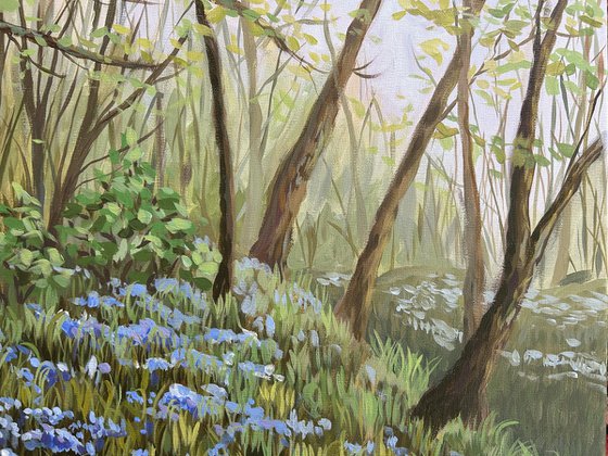 Springtime in the Woods VI