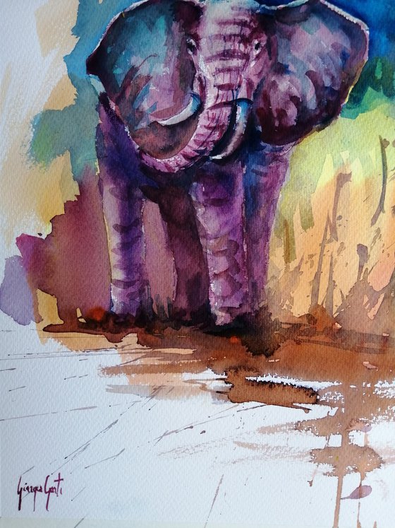 elephant 20