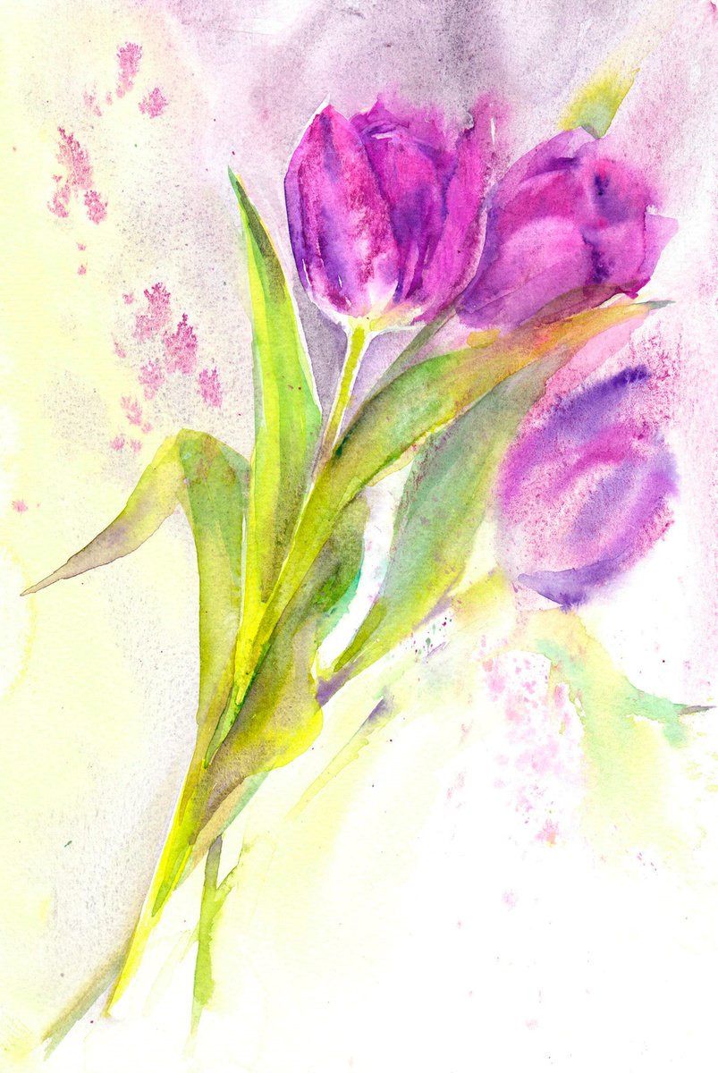 Purple tulips by Anjana Cawdell