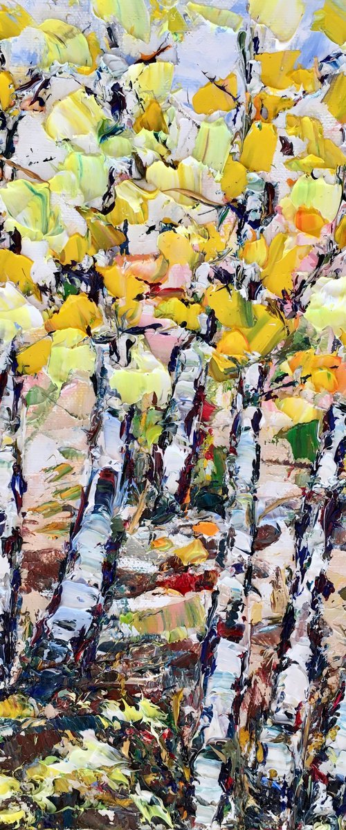 Birch trees in autumn by Vilma Gataveckienė