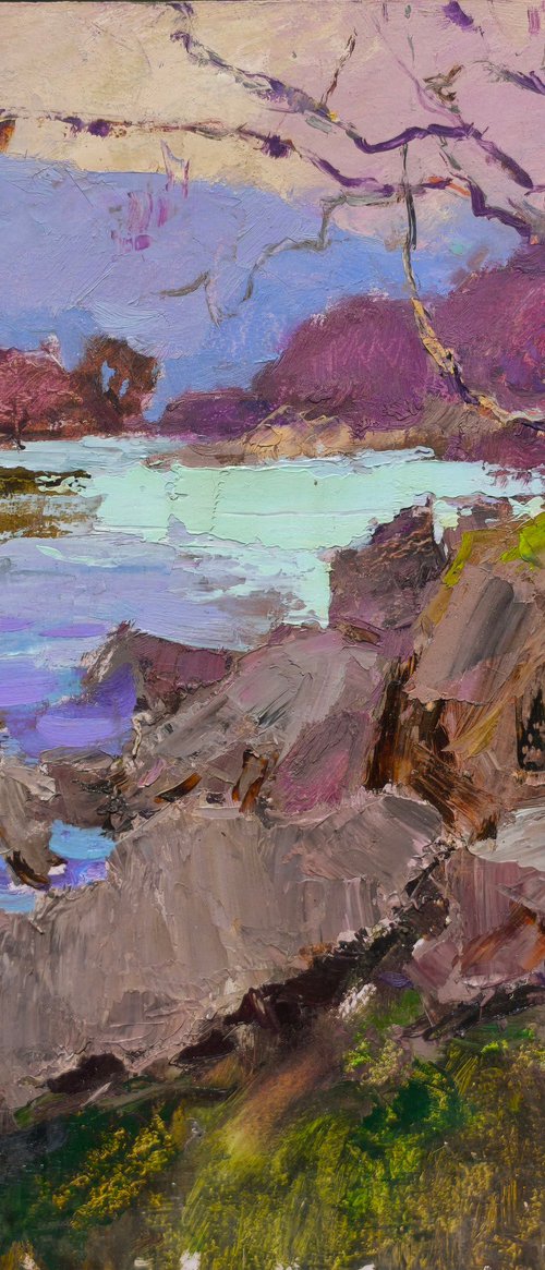 Stones by Alexander Shandor