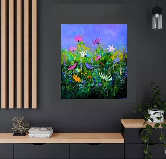 A few cosmos flowers  - 7823