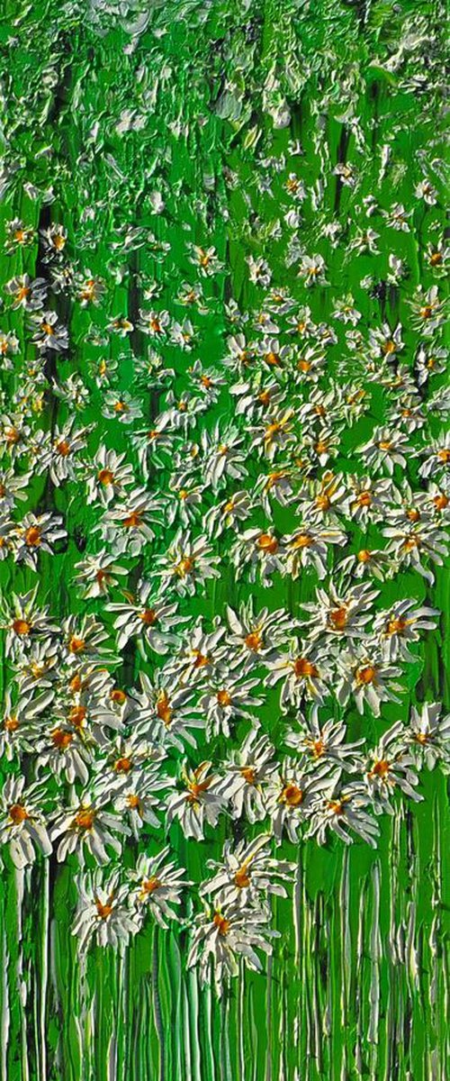 Daisies In The Grass by Daniel Urbaník