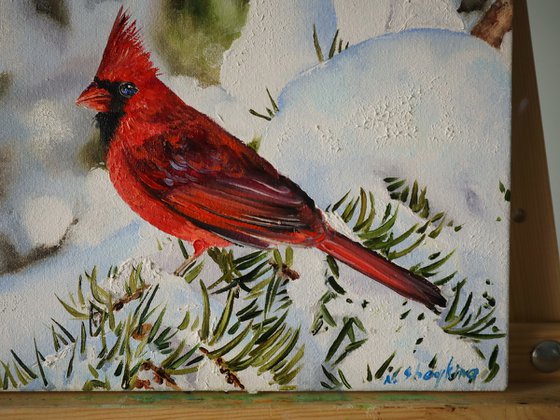Red Cardinal in Snow
