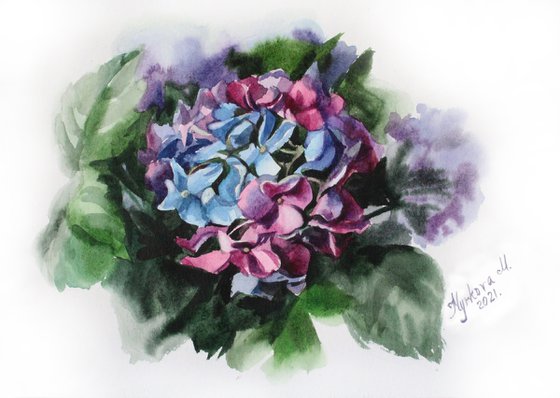 Hydrangea watercolor painting