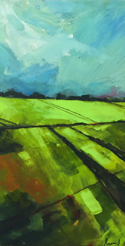 Fields, Alnmouth by Paul West