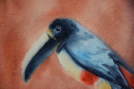 Bird original watercolor painting, tropical birds, gift for animal lover