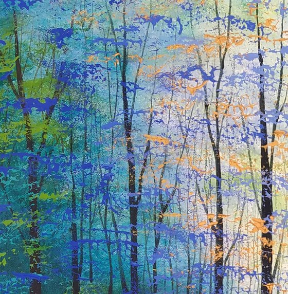 Beyond the Shimmering Forest