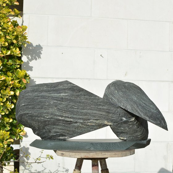 "Particular Insight"