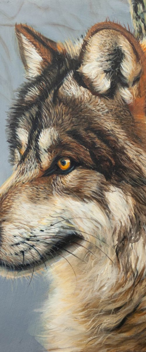 "Wild Gaze" — Grey Wolf Portrait by Norma Beatriz Zaro
