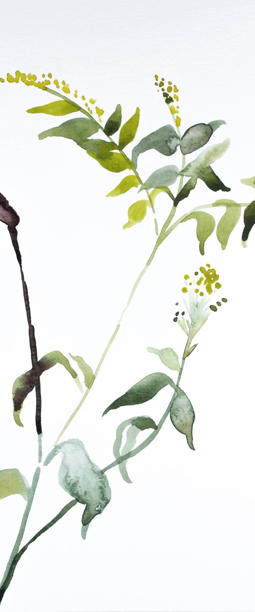 Goldenrod No. 2 by Elizabeth Becker