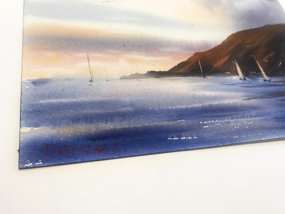 Yachts along the coast