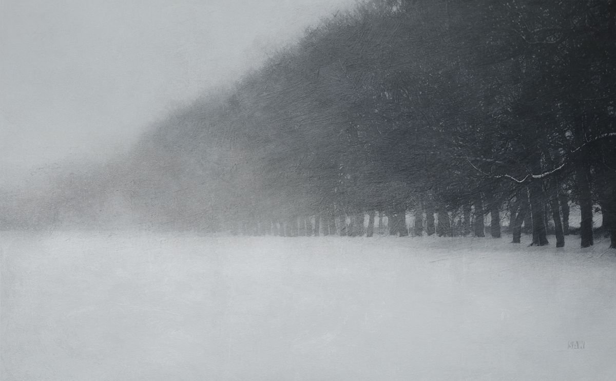 Mid Winter by Simon Antony Wilson